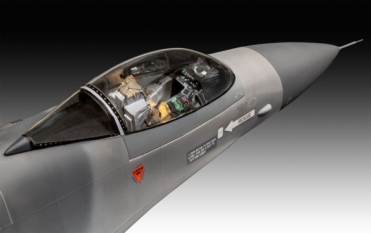 F-16 Falcon 50th Anniversary