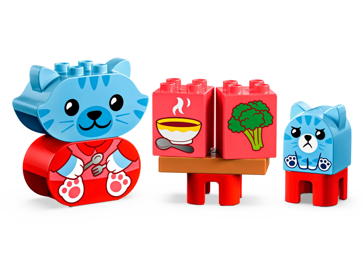 Daily Routines: Eating & Bedtime