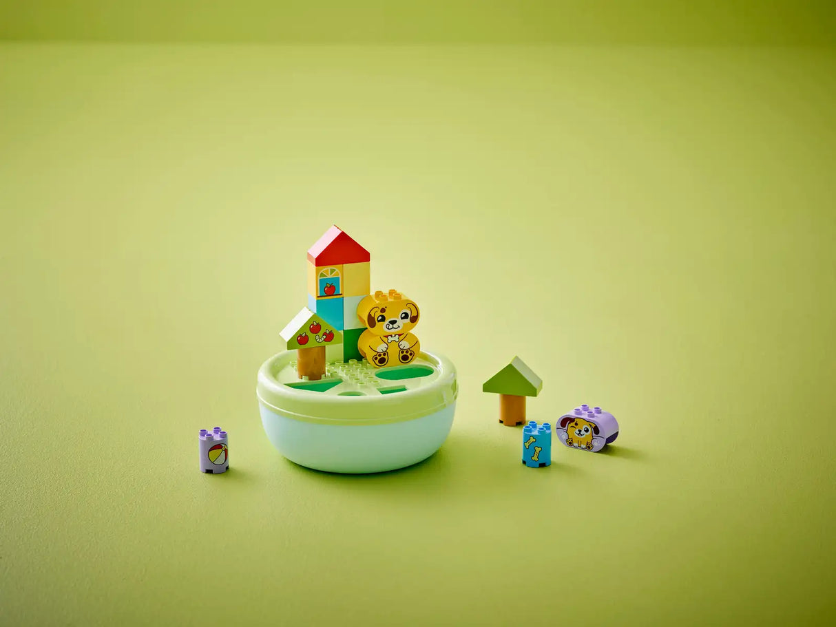 Shape Sorter: Puppy House