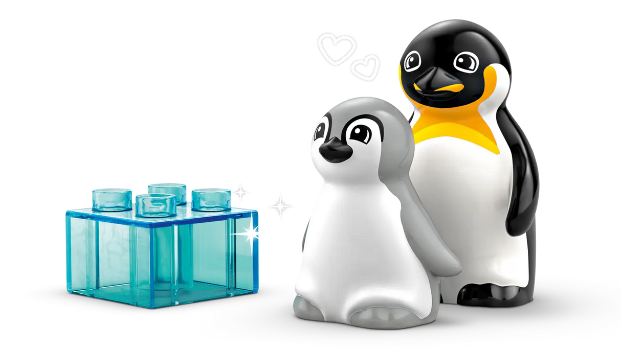 Wild Animal Families: Penguins & Lions