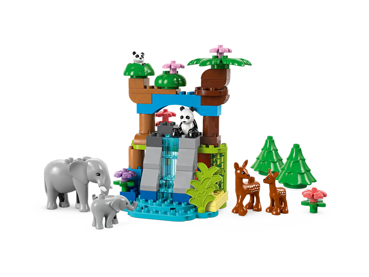 3in1 Wild Animal Families