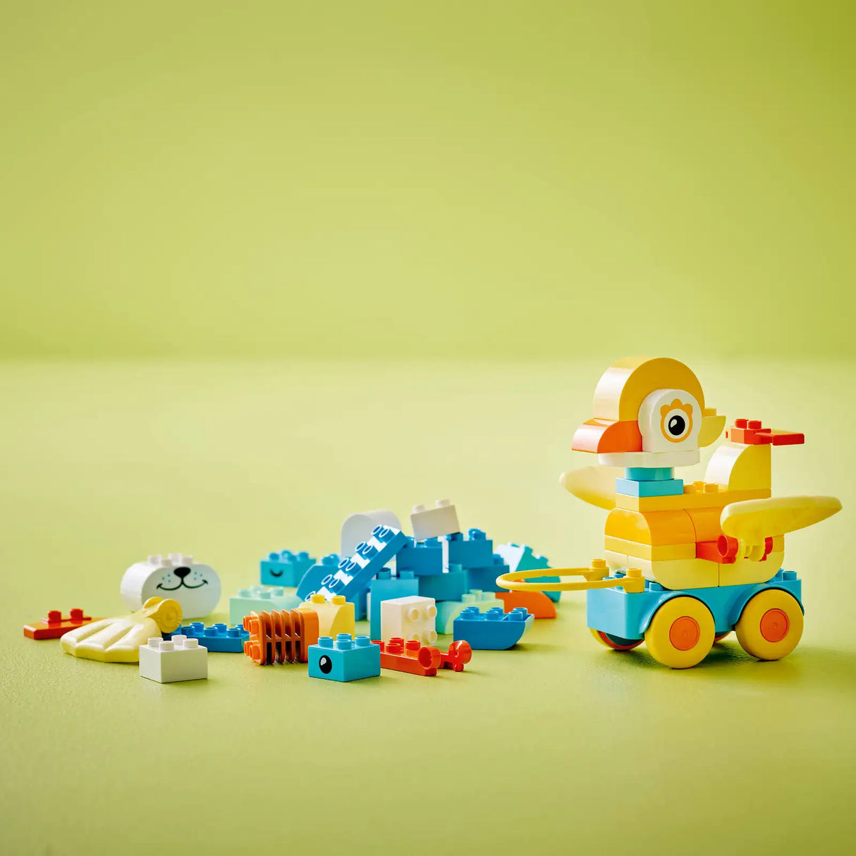 3in1 Animals on Wheels