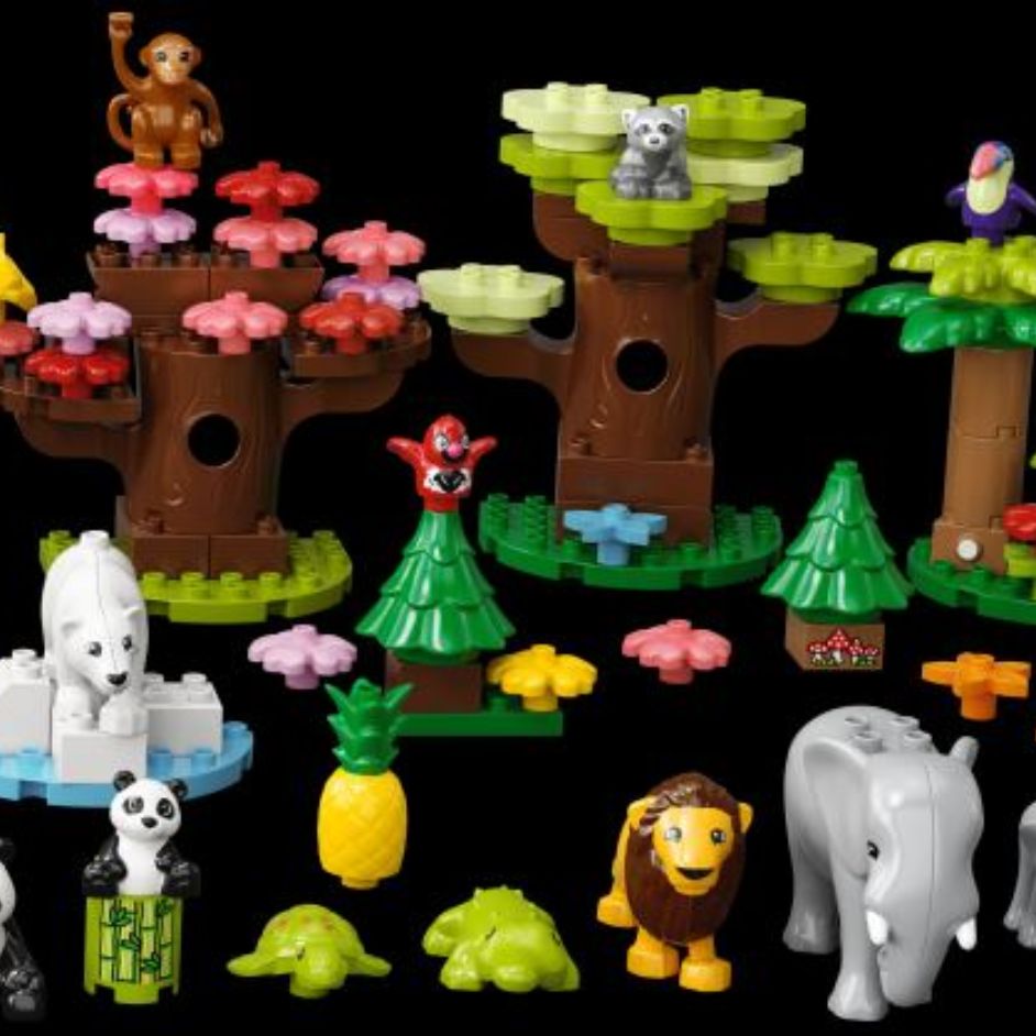 Wild Animals of the World