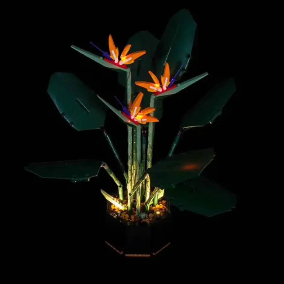 Light My Bricks (LMB) Light kit for LEGO # 10289 Bird of Paradise