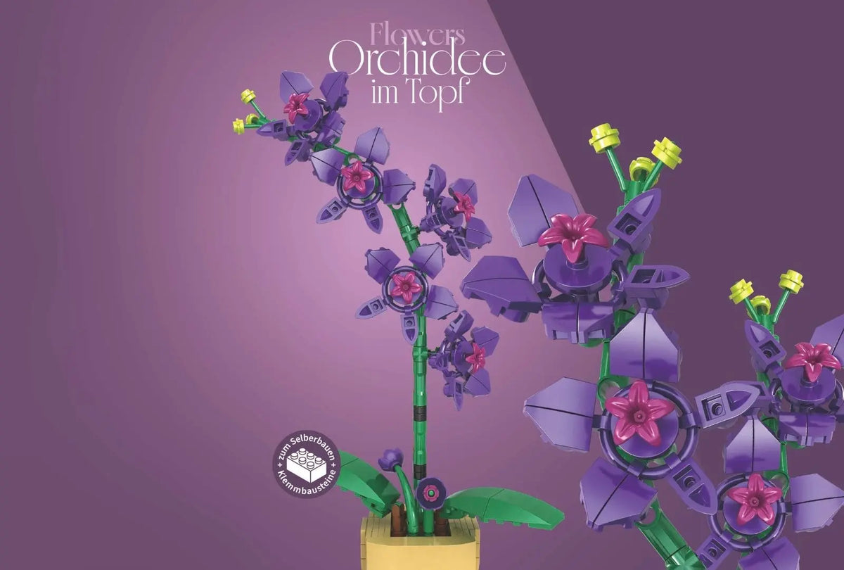 Orchid in a Pot