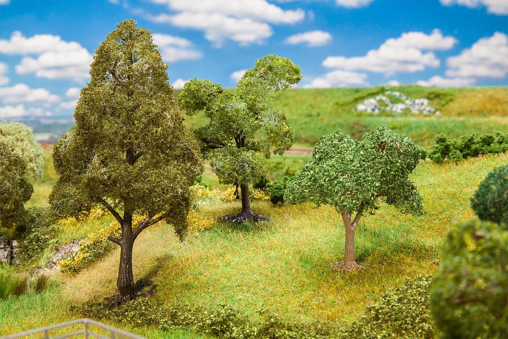 Sheep farm