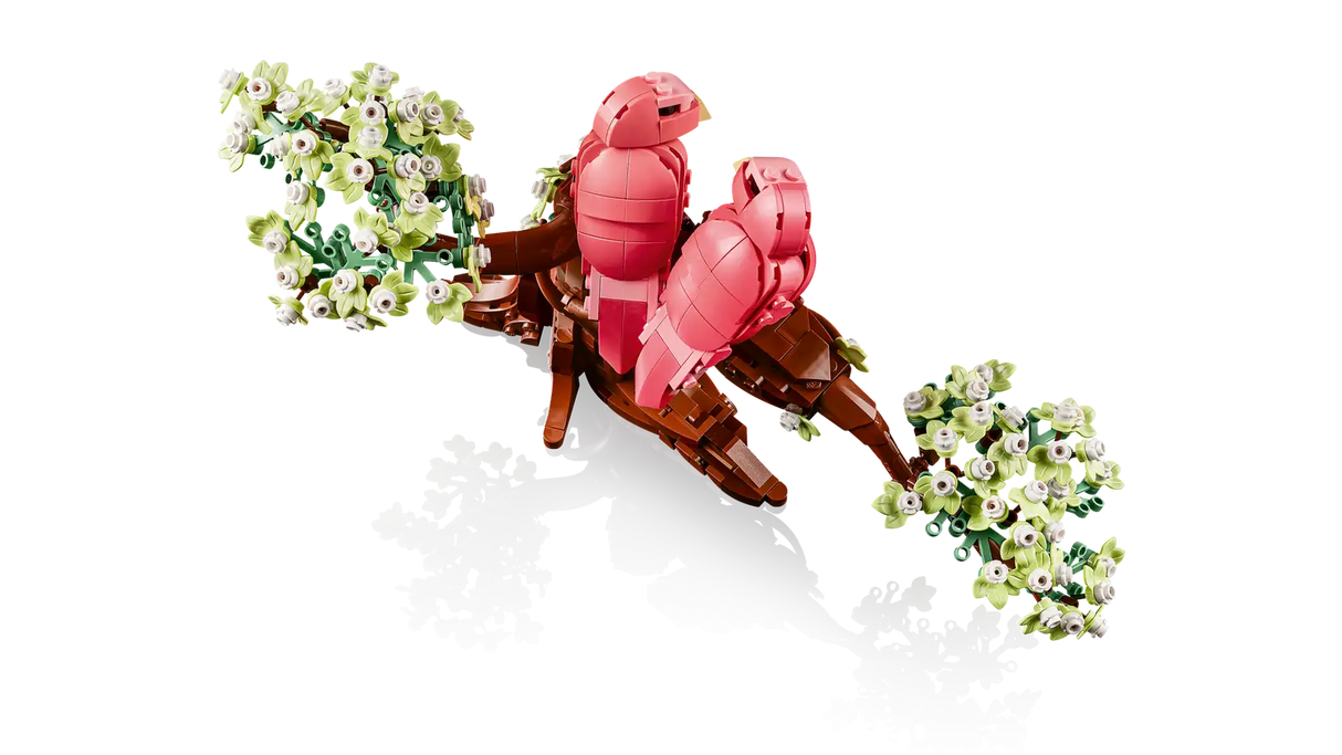 Love Birds