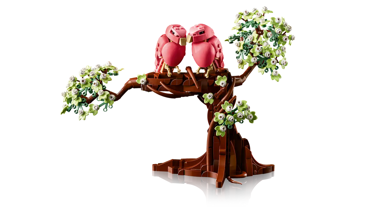 Love Birds