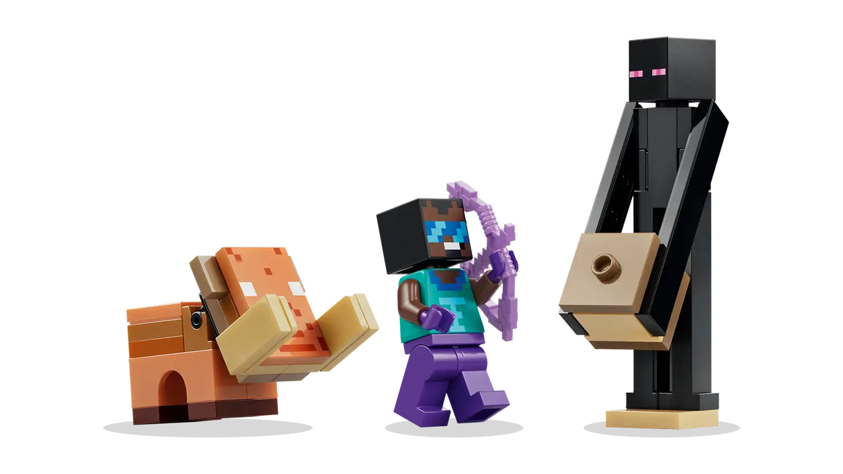 Nether & End Portal Journey