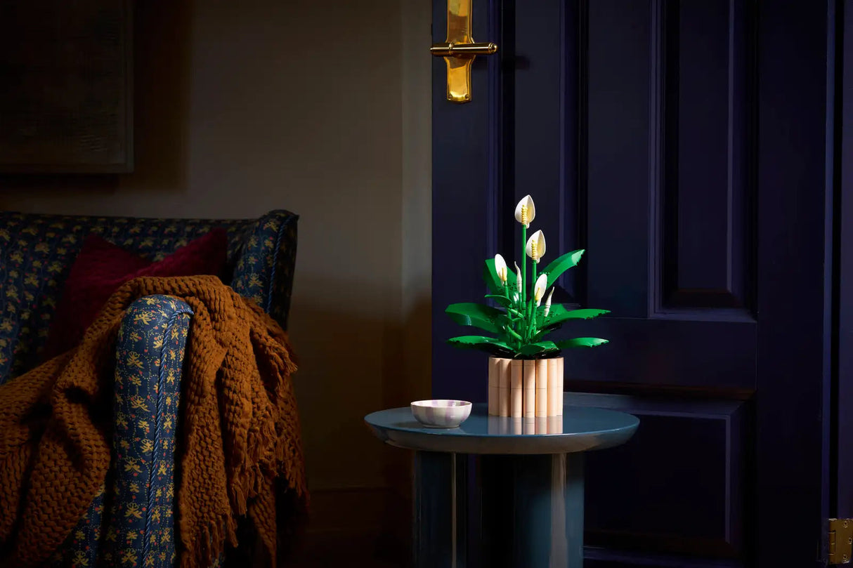 Peace Lily