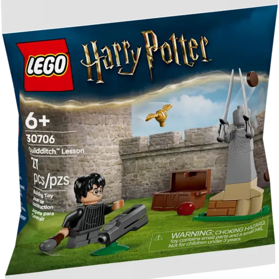 Quidditch Lesson paper bag / polybag