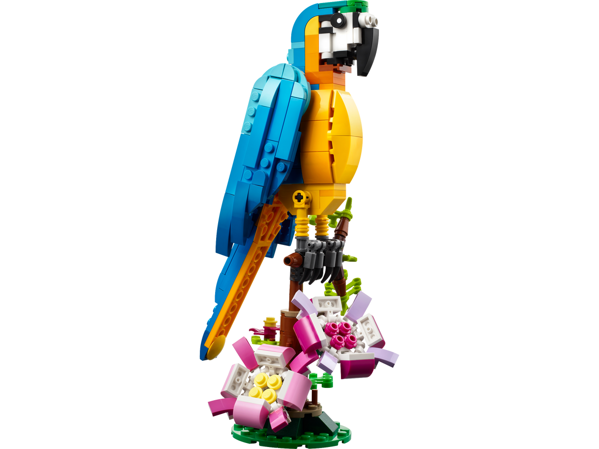 Exotic Parrot