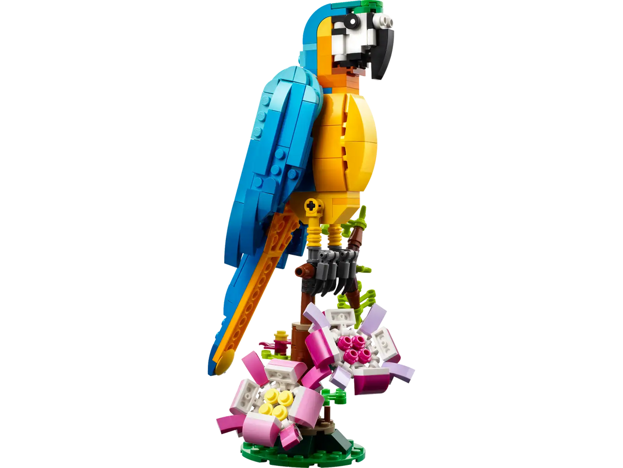Exotic Parrot