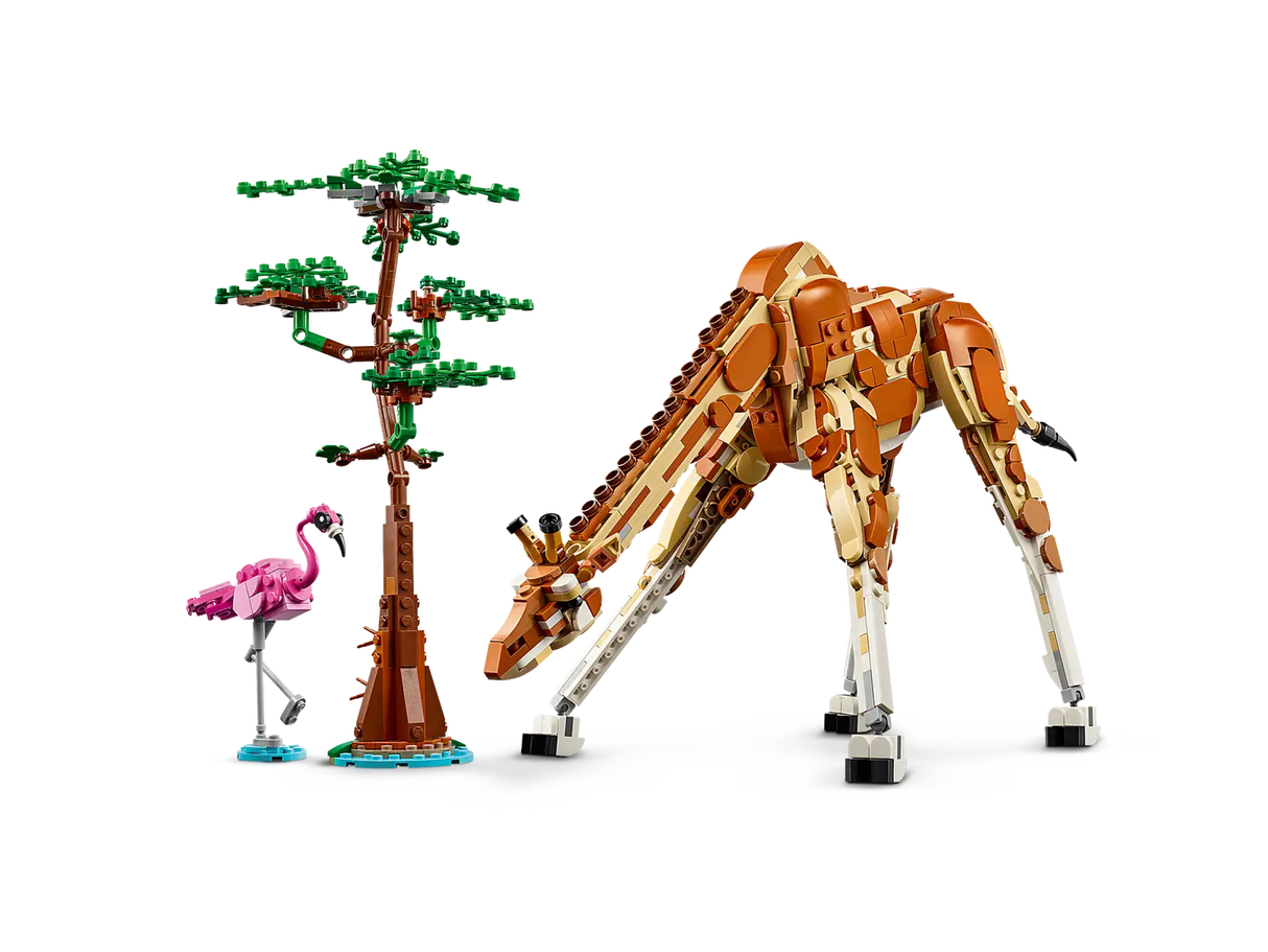 Wild Safari Animals