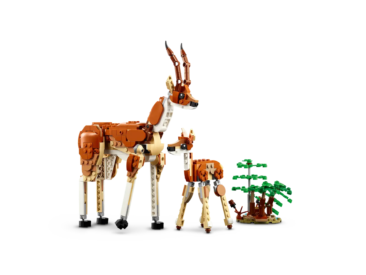 Wild Safari Animals