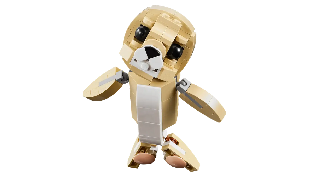 Cute Bunny