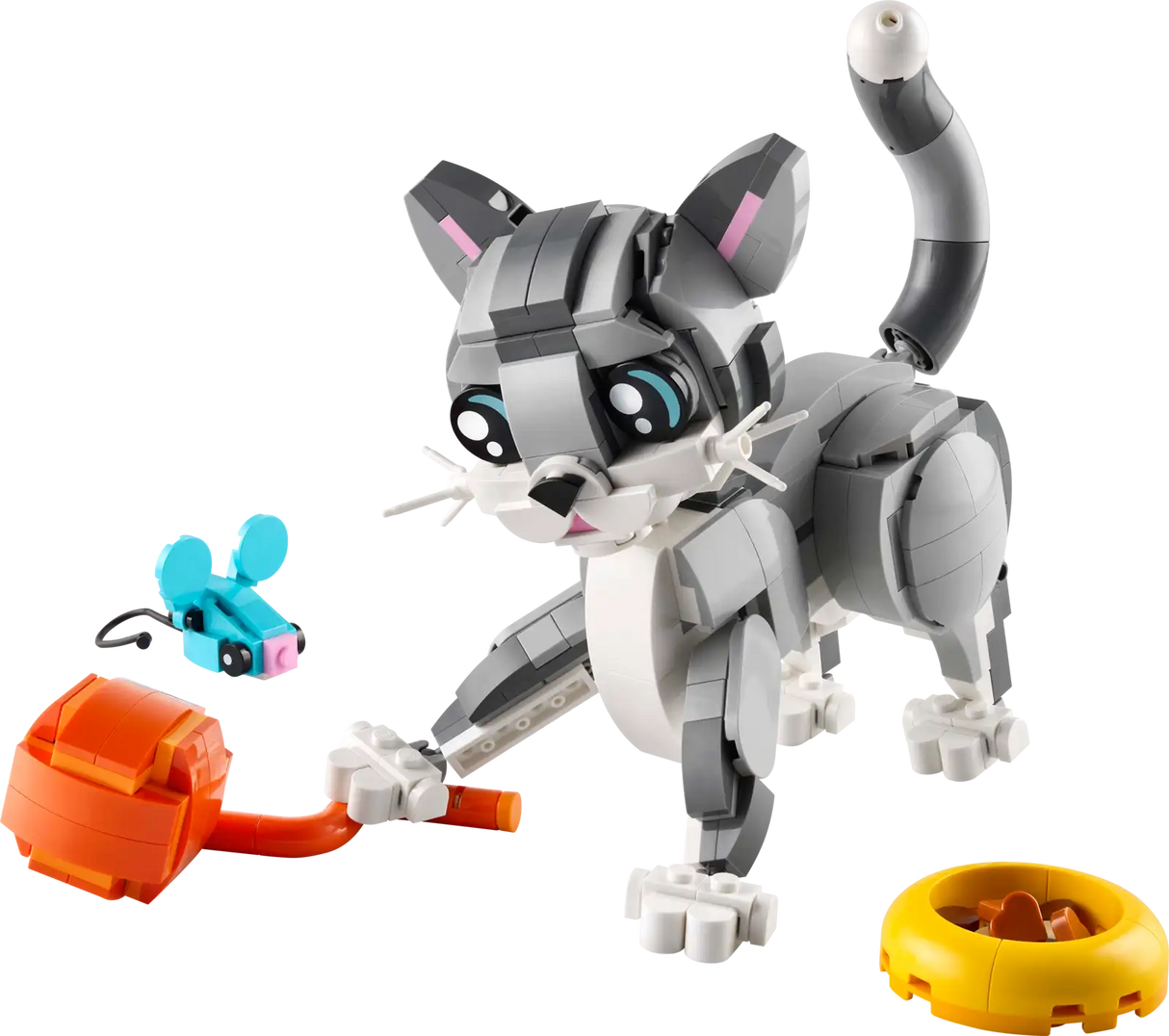 Playful Cat