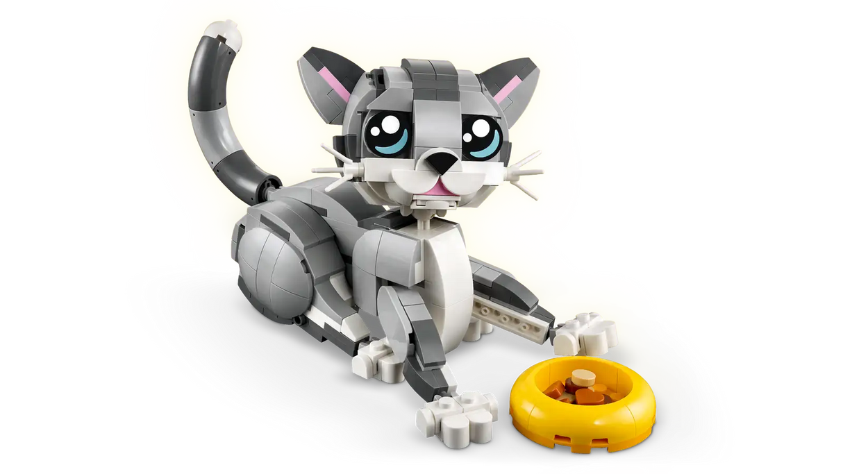 Playful Cat