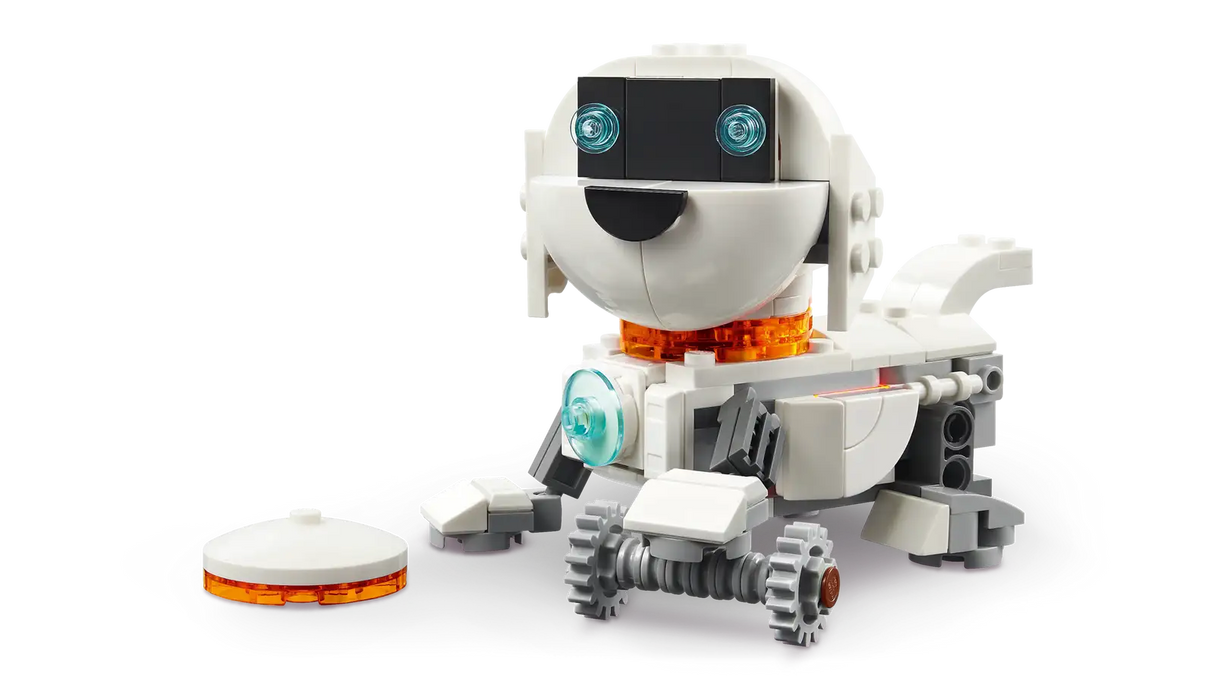 Space Robot