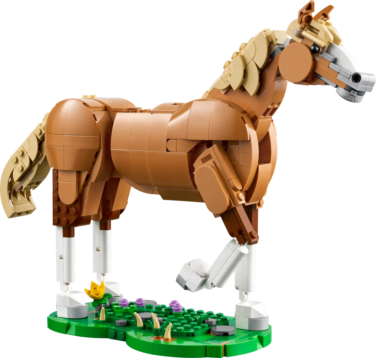 Beautiful Horse