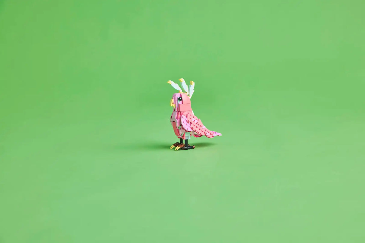 Wild Animals: Pink Flamingo