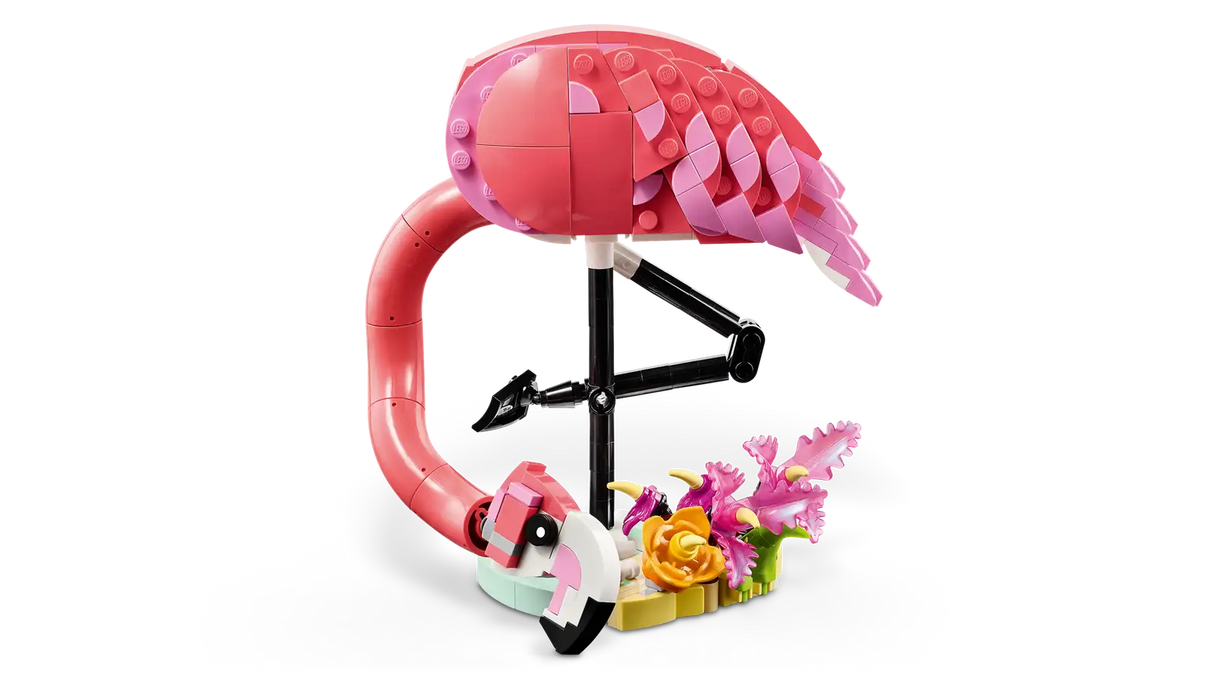 Wild Animals: Pink Flamingo