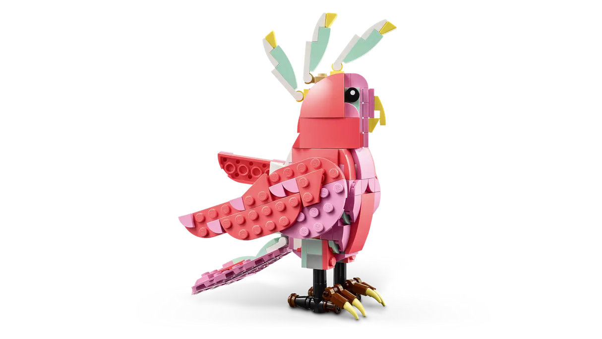 Wild Animals: Pink Flamingo