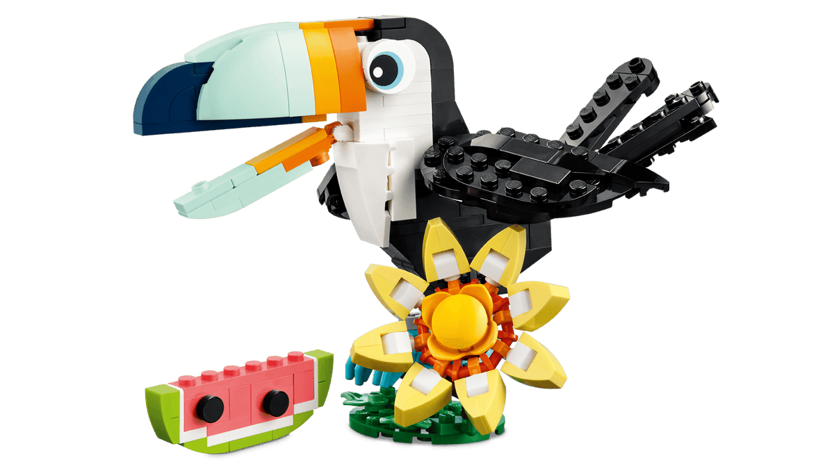 Wild Animals: Tropical Toucan