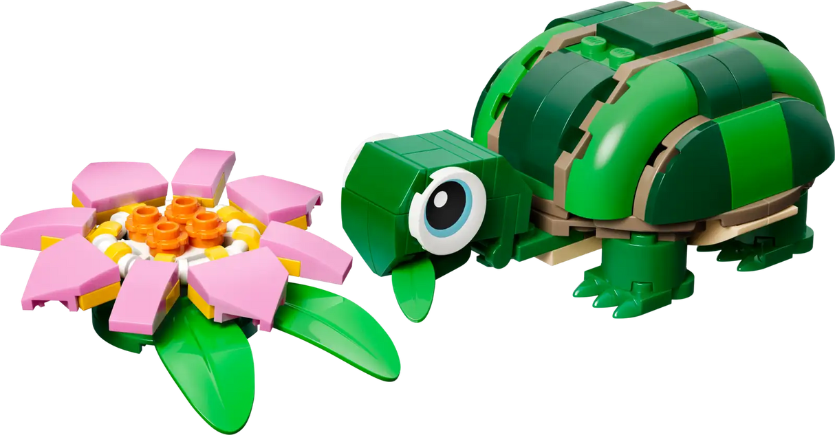Turtle with a Waterlily Flower