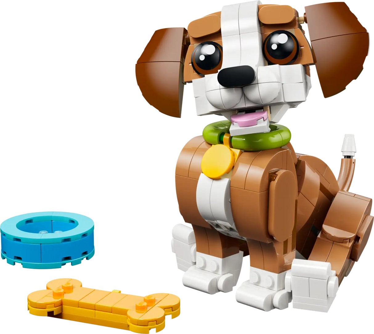Cute Animals: Playful Puppy Dog