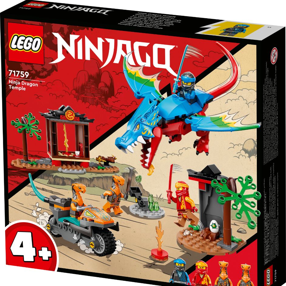 Ninja Dragon Temple