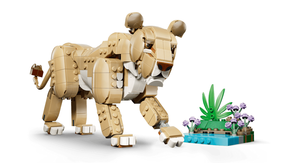 Wild Animals: Majestic Lion