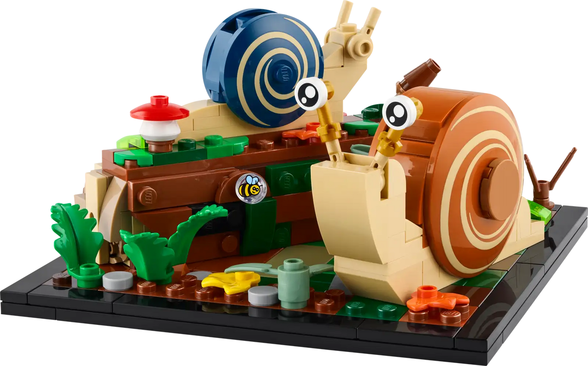 Friendly Snails