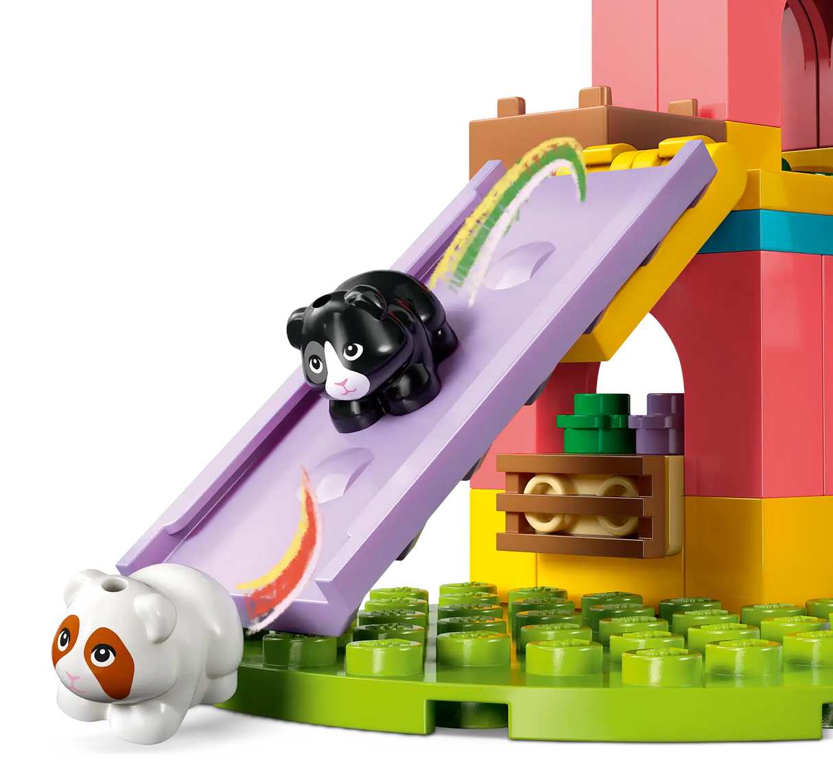 Guinea Pig Playground