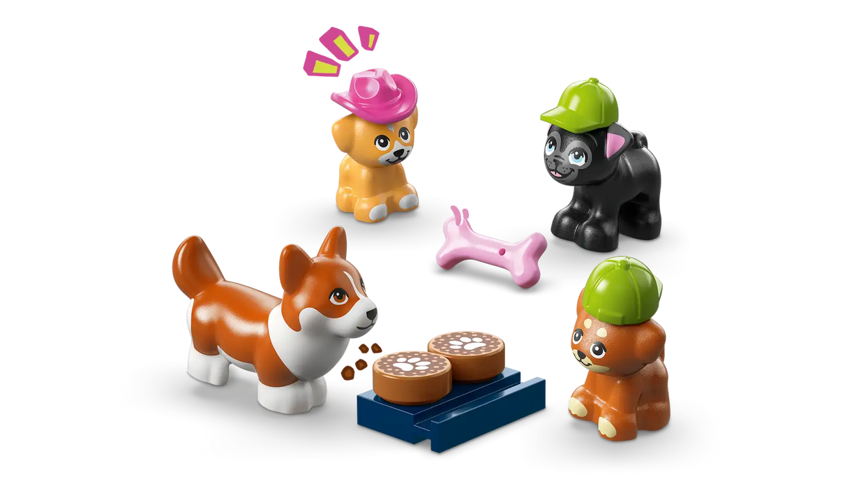 Dog Treats Bakery