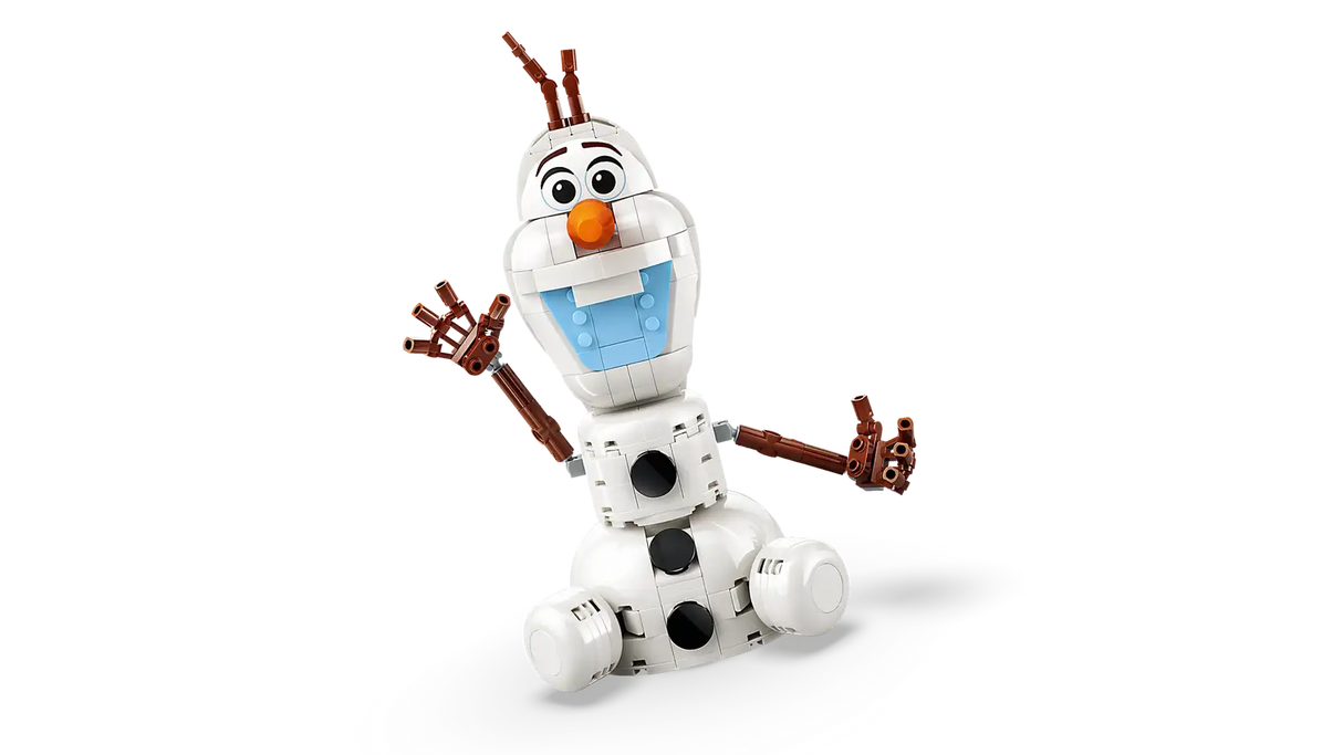 Olaf and Bruni’s Picnic Fun