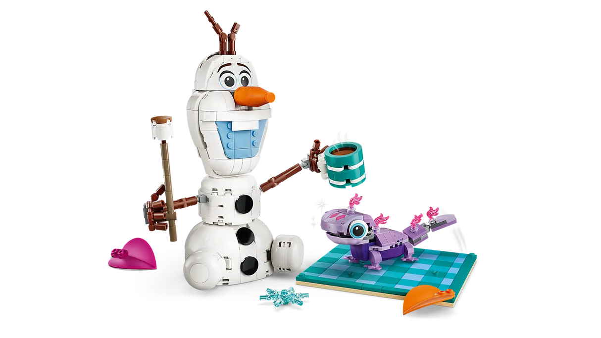 Olaf and Bruni’s Picnic Fun