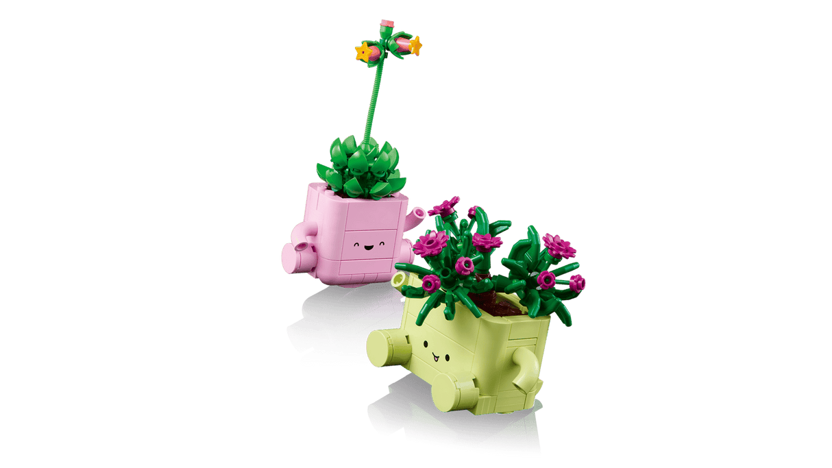 Rocking Plants