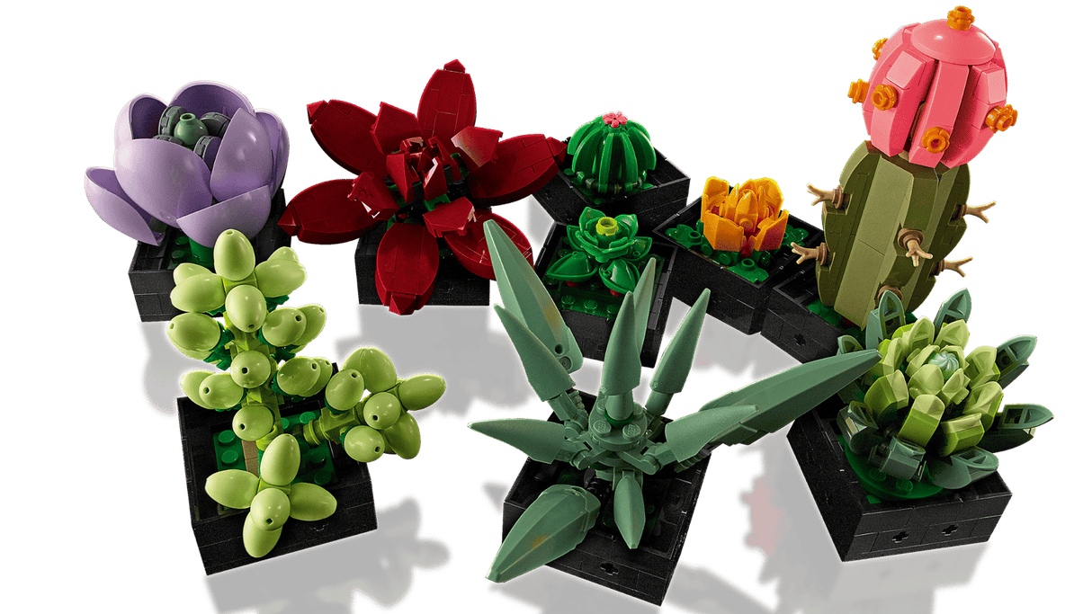 Succulents