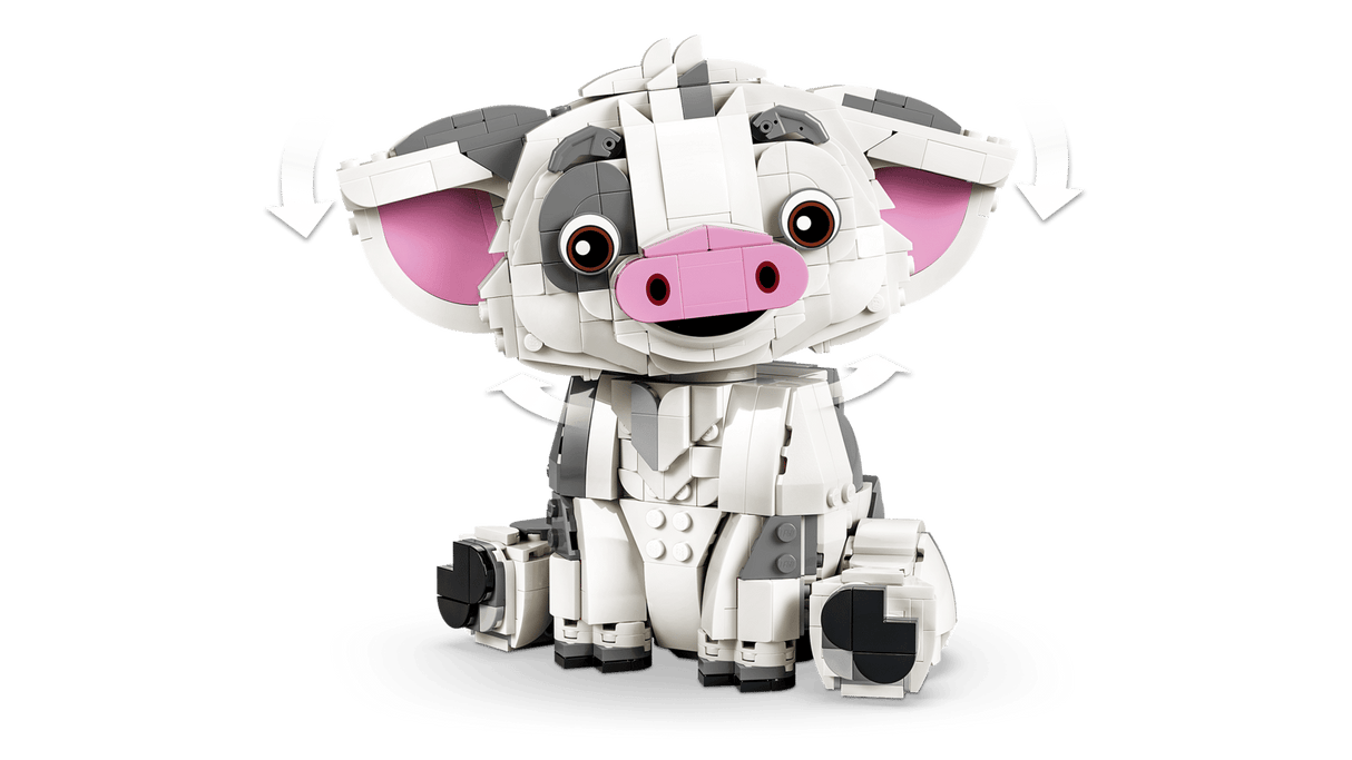 Pua