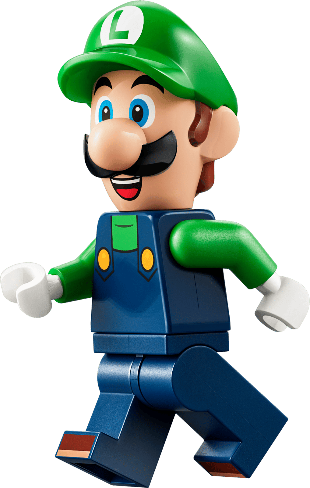 Luigi & Bowser Jr.'s Race