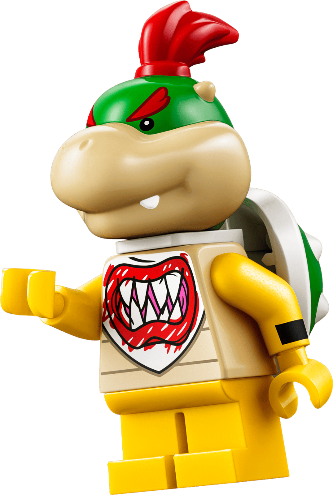 Luigi & Bowser Jr.'s Race