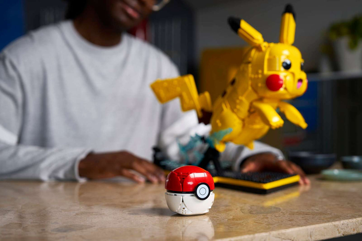 Pikachu and Poké Ball