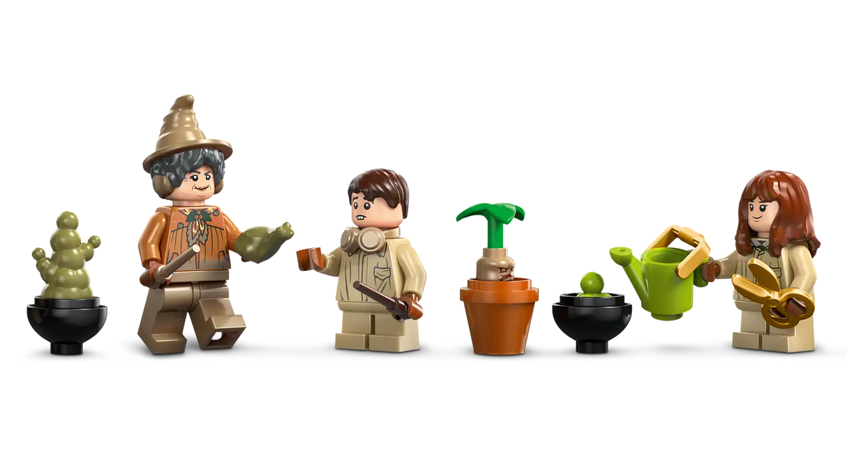 Hogwarts Castle: Herbology Class