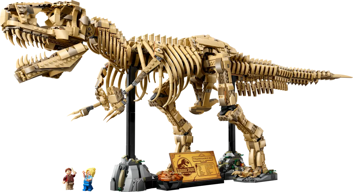 Dinosaur Fossils: Tyrannosaurus rex