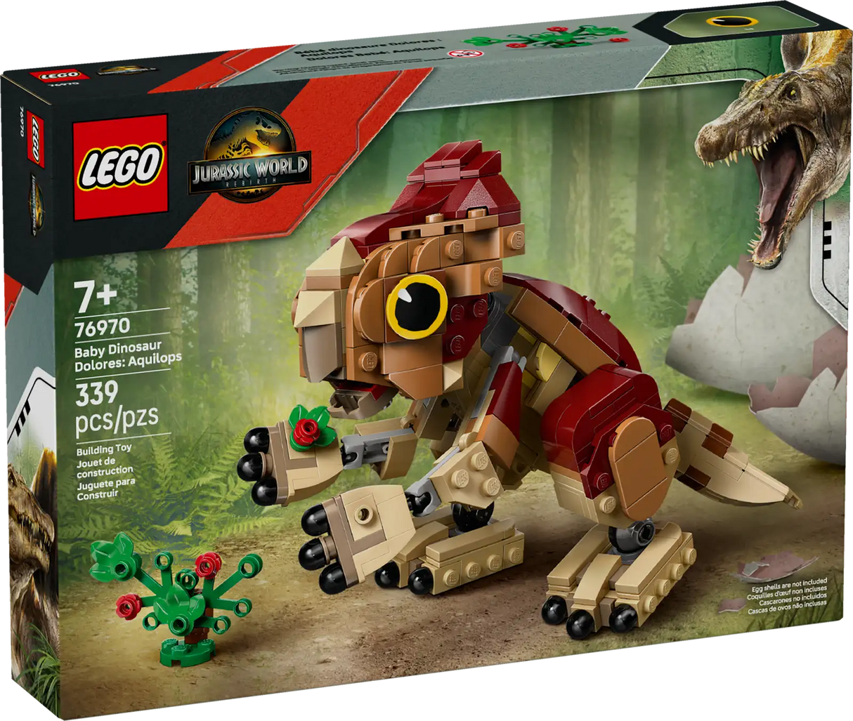 Baby Dinosaur Dolores: Aquilops