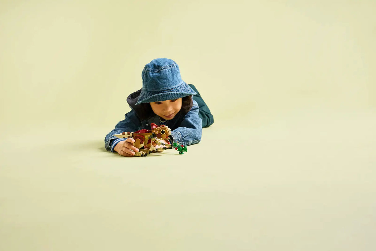 Baby Dinosaur Dolores: Aquilops