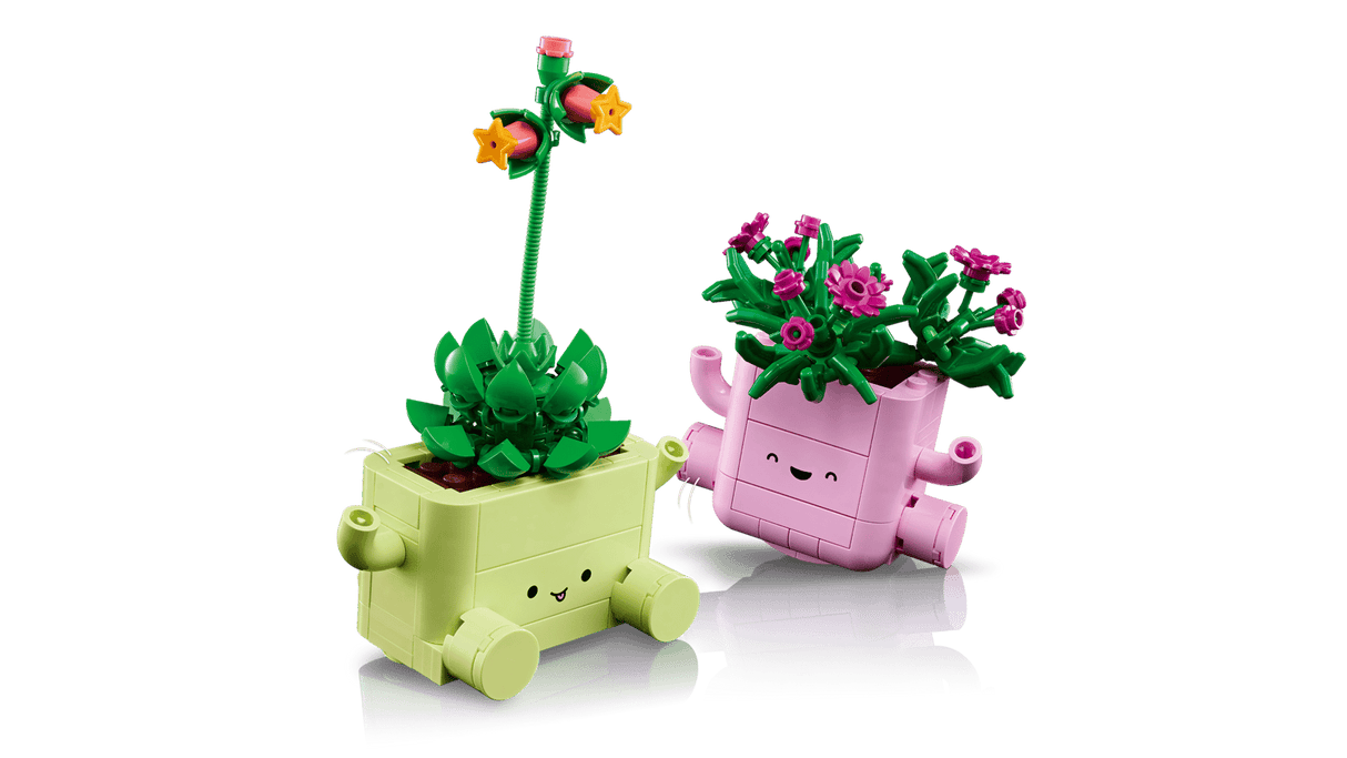 Rocking Plants