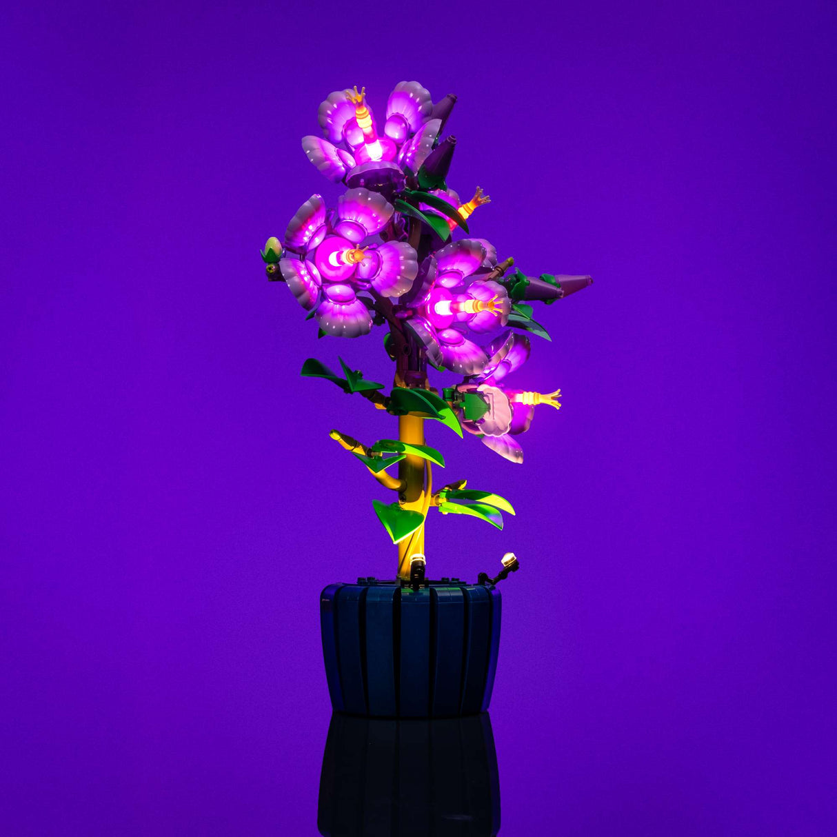 Light My Bricks (LMB) 2.0 Light Kit for LEGO #10372 Botanicals Hibiscus