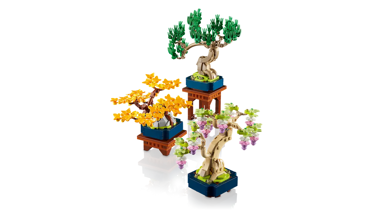 Mini Bonsai Trees